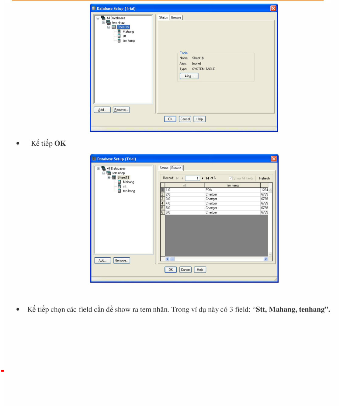 Database Setup xem trước các trường và dữ liệu rồi OK