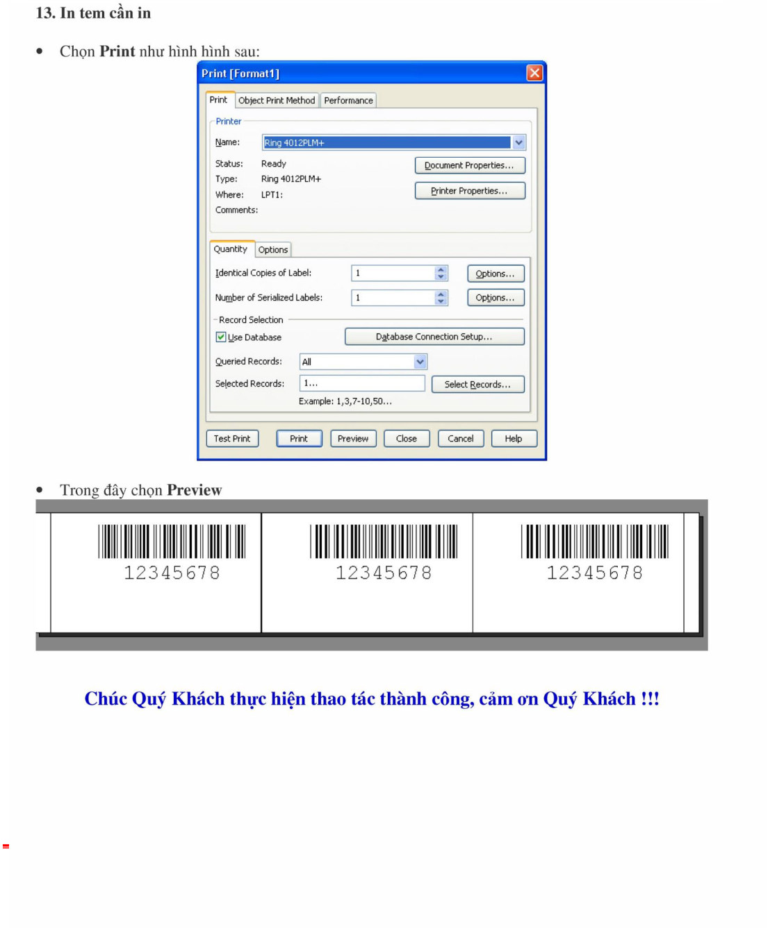 Hộp thoại Print chọn máy in, Use Database và Preview xem trước tem